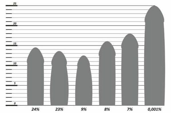 Статистика за размера на пениса